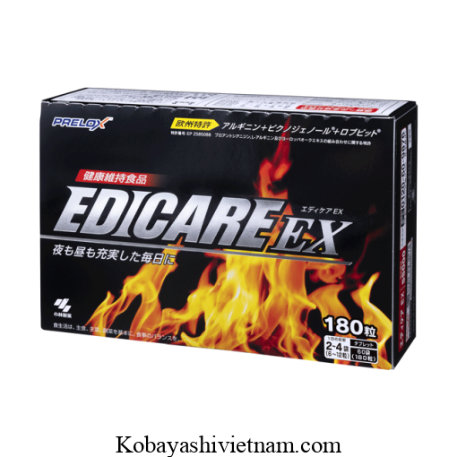 Kobayashi Edicare Ex 1